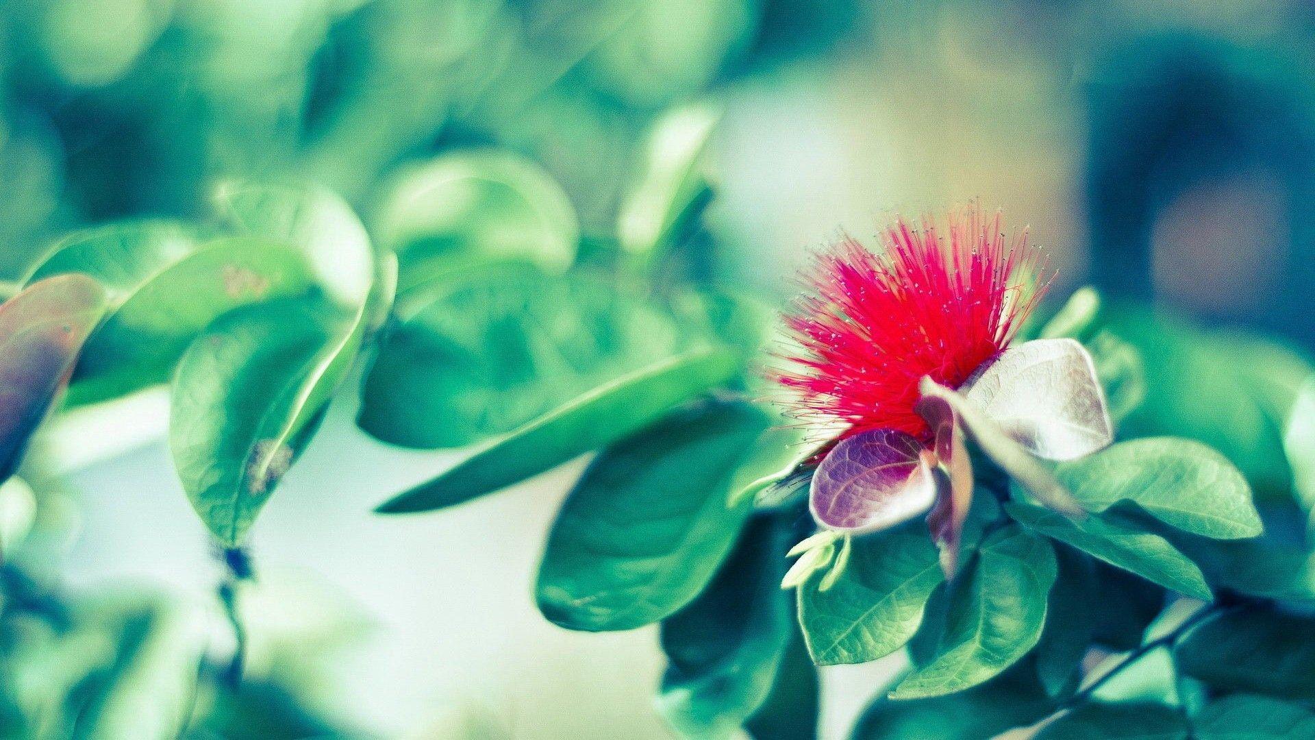 1920x1080 Aesthetic Background Free Download