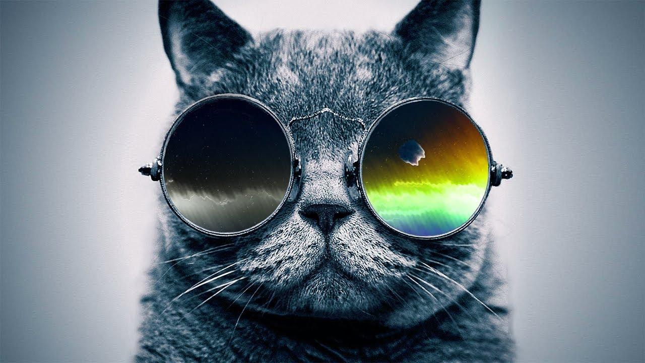 1280x720 Free download Funky Rap Hip Hop Instrumental Cool Catz Jazzy Guitar Beat [1280x720] for your Desktop, Mobile & Tablet. Explore Cool Funky Wallpaper. Unusual Wallpaper for The Home, Cool
