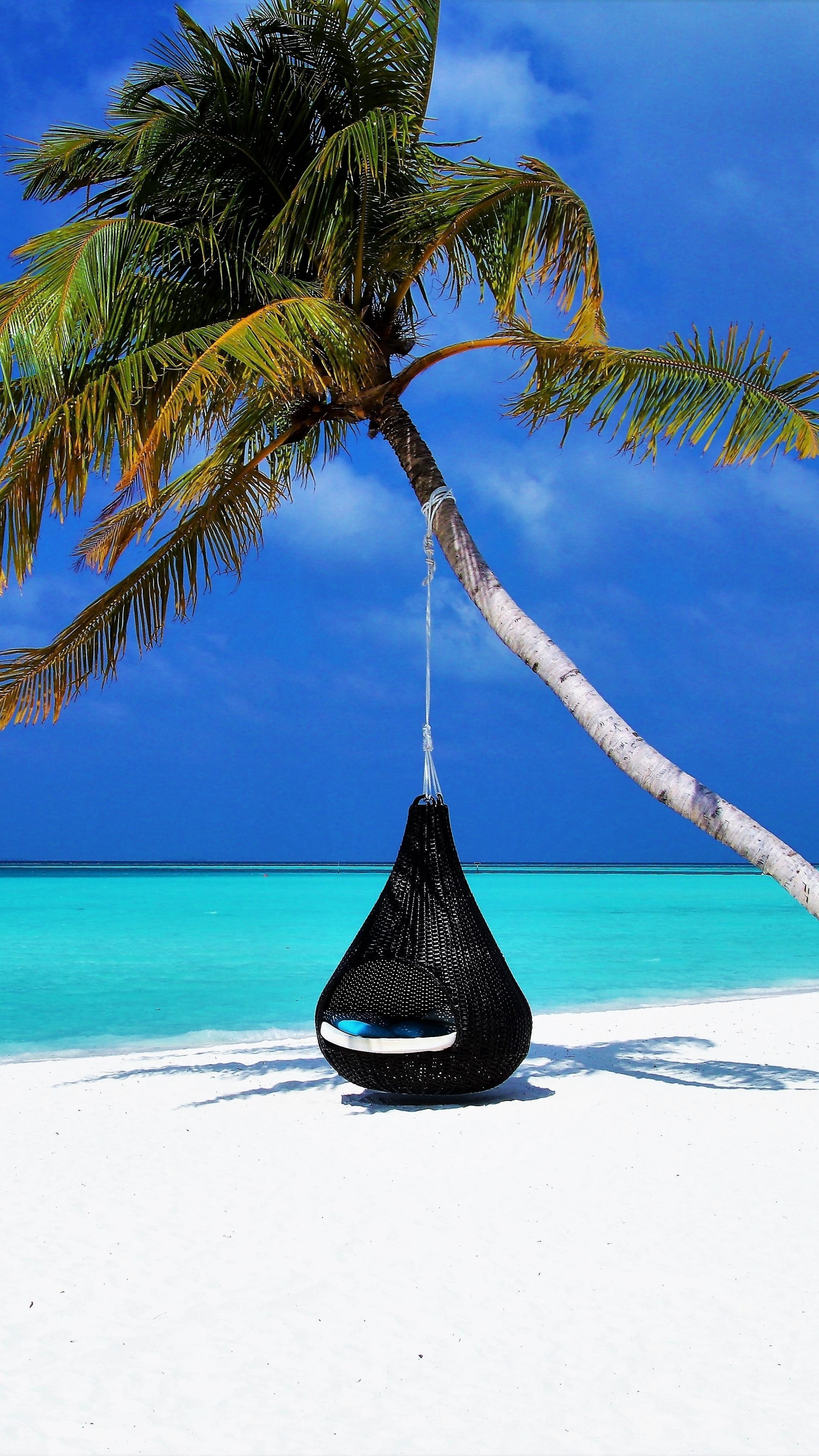 2160x3840 Download 2160x3840 wallpaper maldives, islands, palm tree, travel, 4к, sony xperia z5 premium dual, 2160x3840 HD image, background, 3895