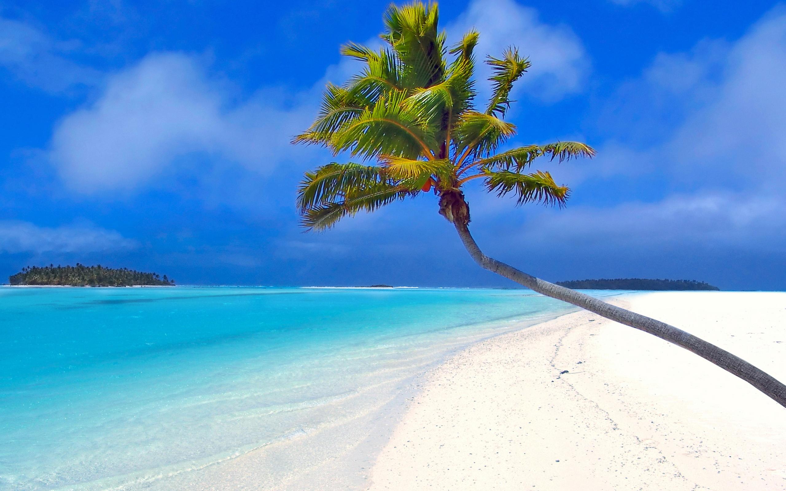 Palm Tree Island Wallpapers - Top Free Palm Tree Island Backgrounds