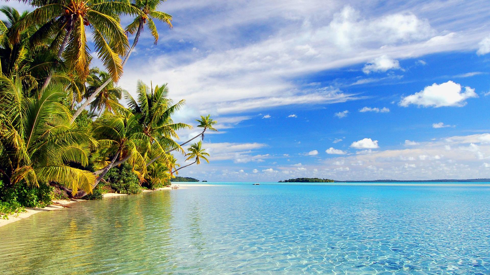 Palm Tree Island Wallpapers - Top Free Palm Tree Island Backgrounds