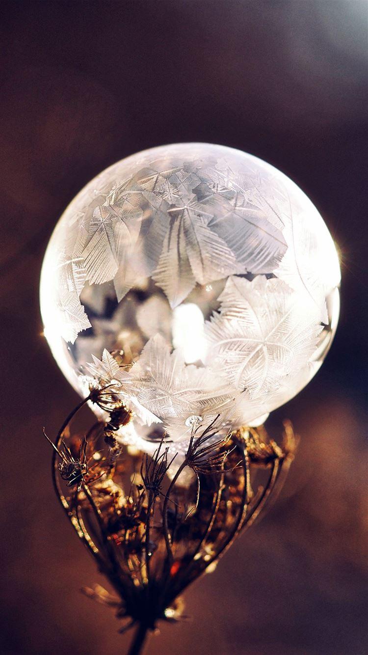 750x1334 Winter Cold Frozen Bubble Bokeh Nature Dark iPhone 8 Wallpaper Free Download