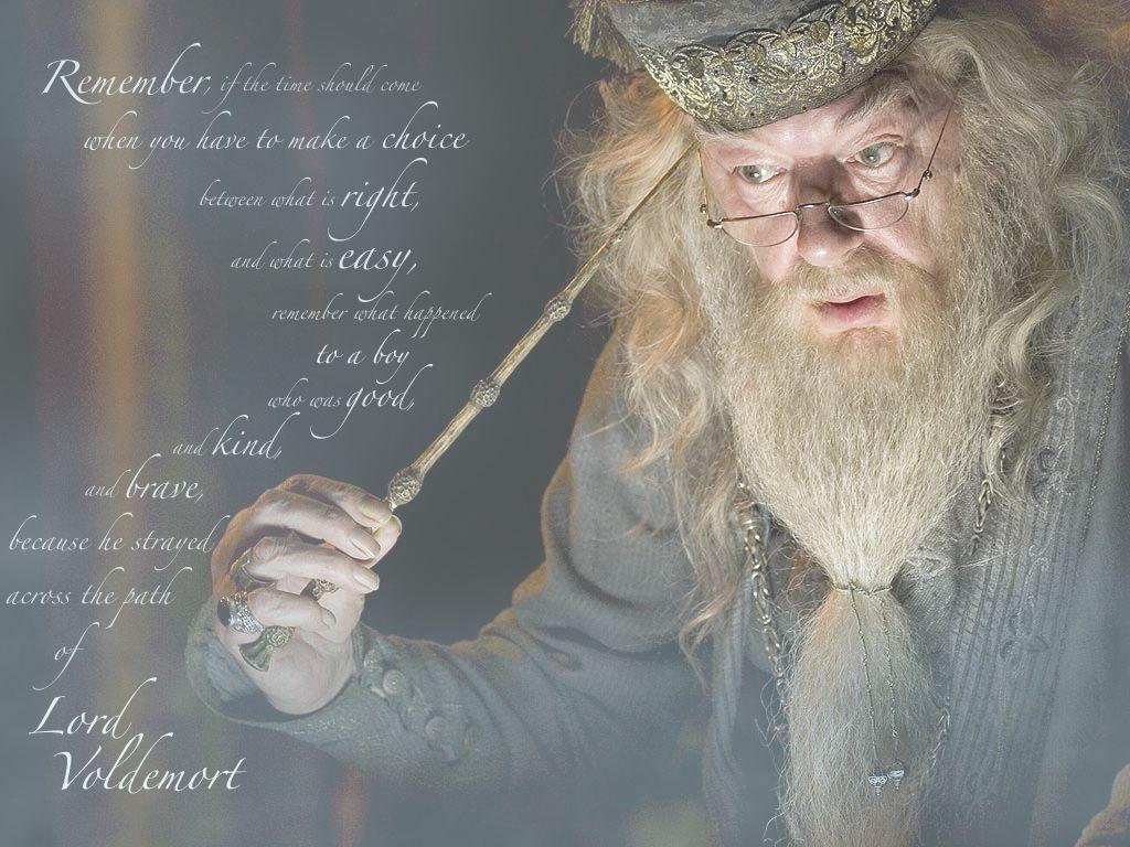 1024x768 Harry Potter Wallpaper: Dumbledore. Harry potter, Dumbledore, Harry potter hermione