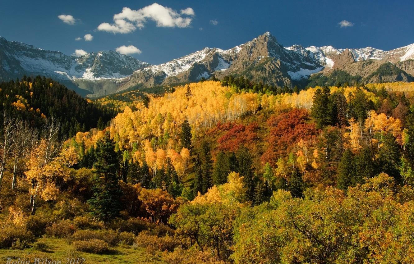 1332x850 Wallpaper autumn, forest, trees, mountains, San Juan Mountains image for desktop, section пейзажи