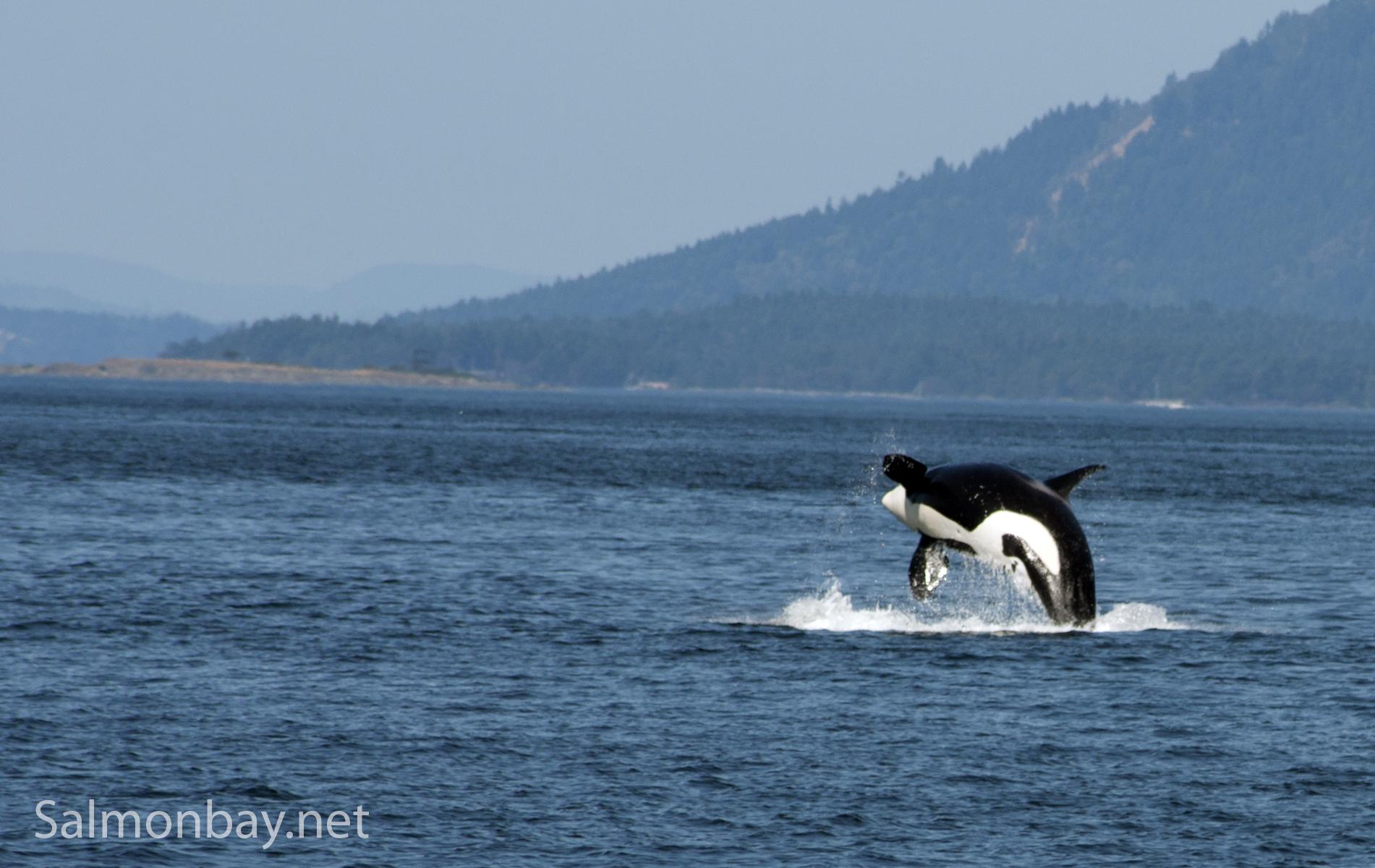 1901x1200 San Juan Islands