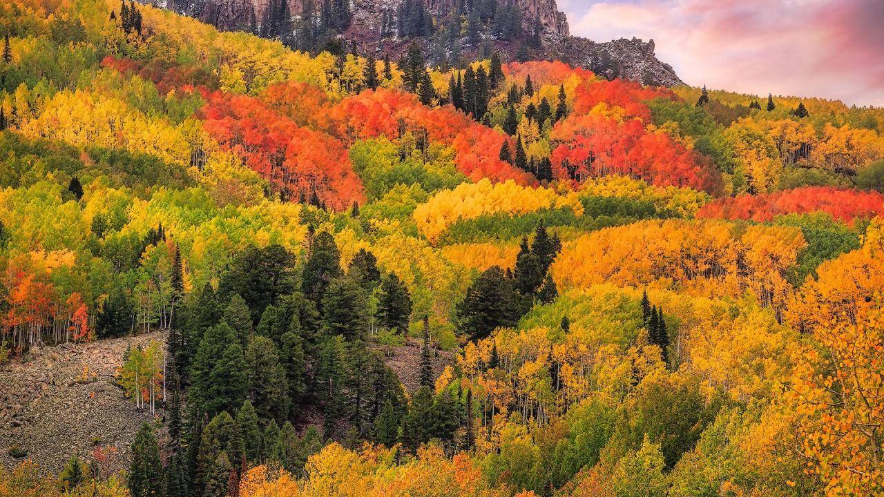 1280x720 Colorado Fall Forest San Juan Mountains HD Nature Wallpaper