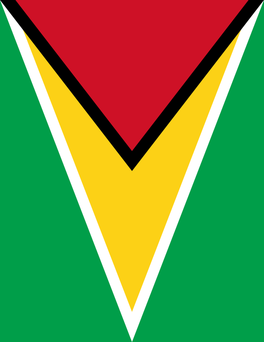 850x1100 Guyana Flag Full Page - Flags Countries G Guyana Guyana_flag_full_page.png