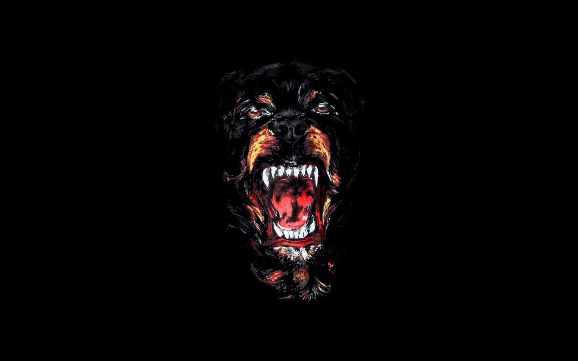 Scary dog HD wallpapers  Pxfuel