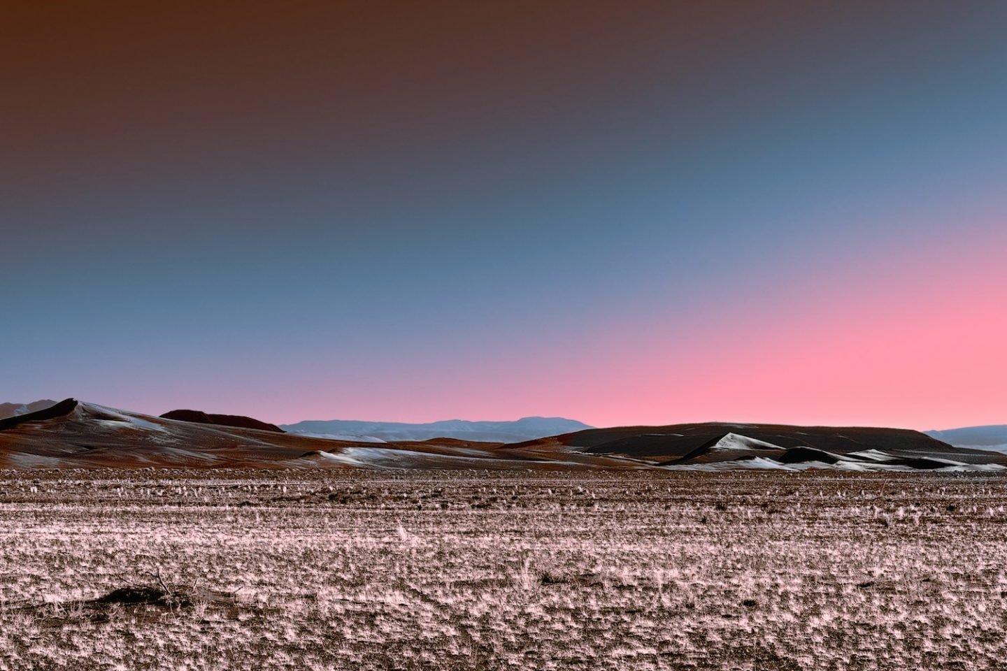 1440x960 Stefano Gardel's Neon DesertANT