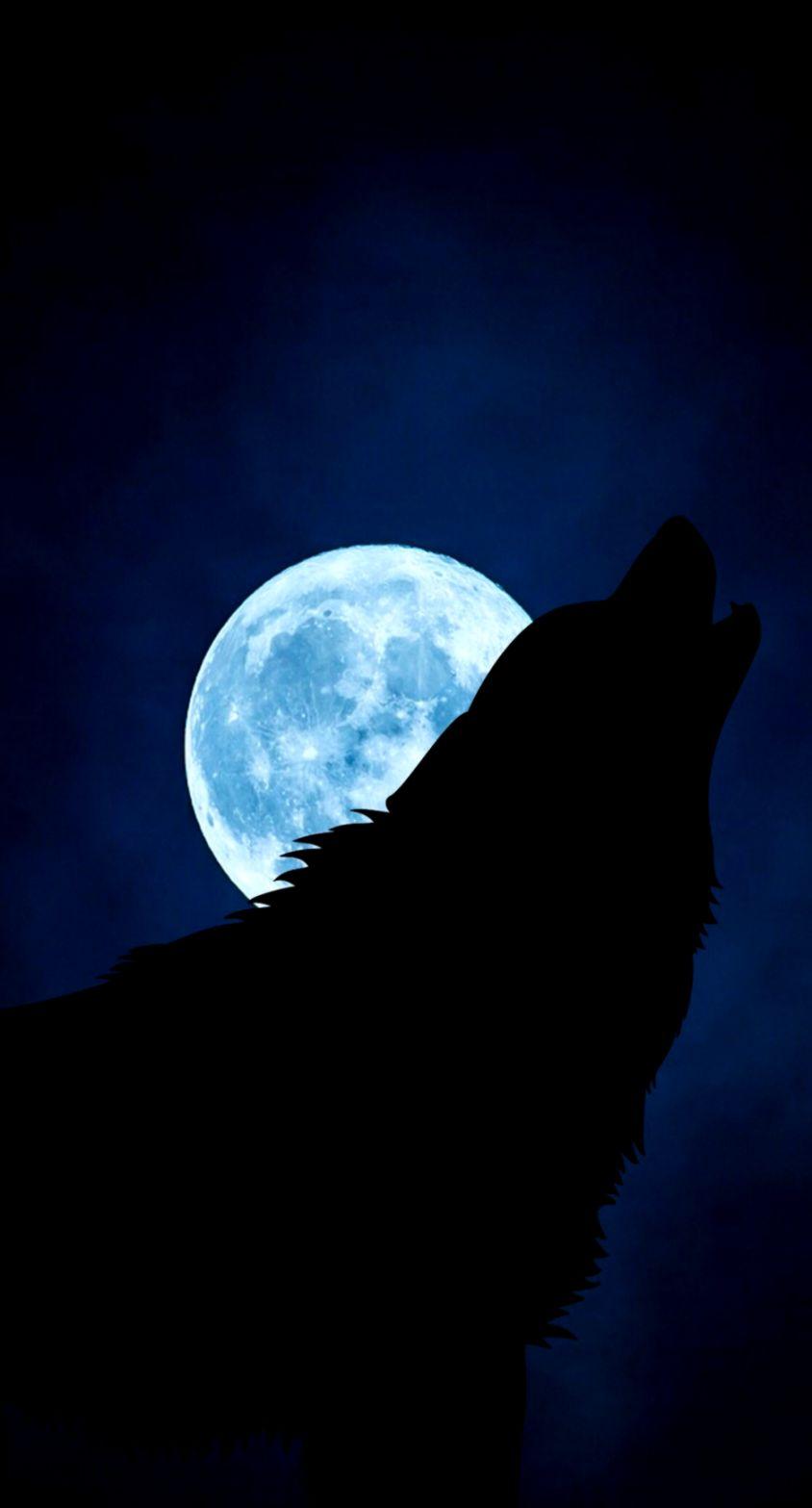 844x1567 Download Wallpaper Wolf Silhouette Moon Night iPhone And Moon