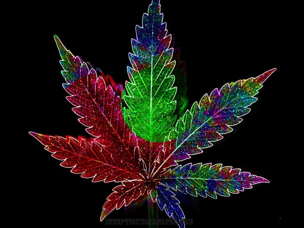 1024x768 Cool Weed Wallpaper