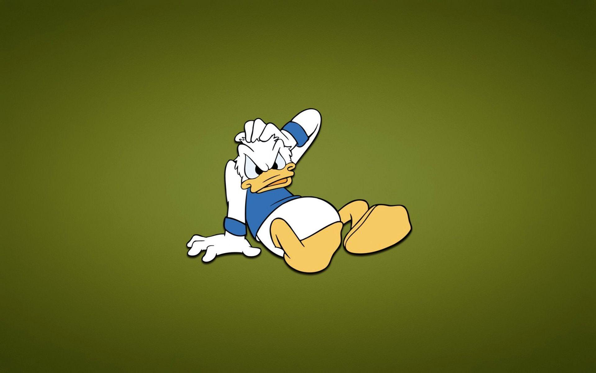 1920x1200 Donald Duck Wallpaper 44520 1920x1200px