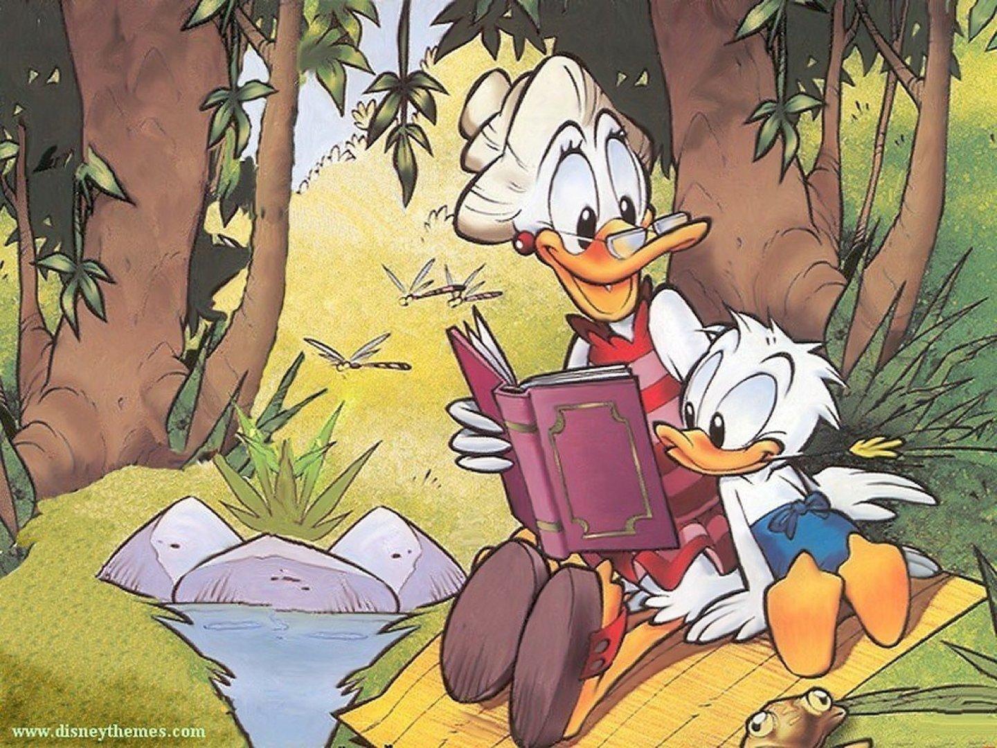 1440x1080 Donald Duck wallpaper HD for desktop background