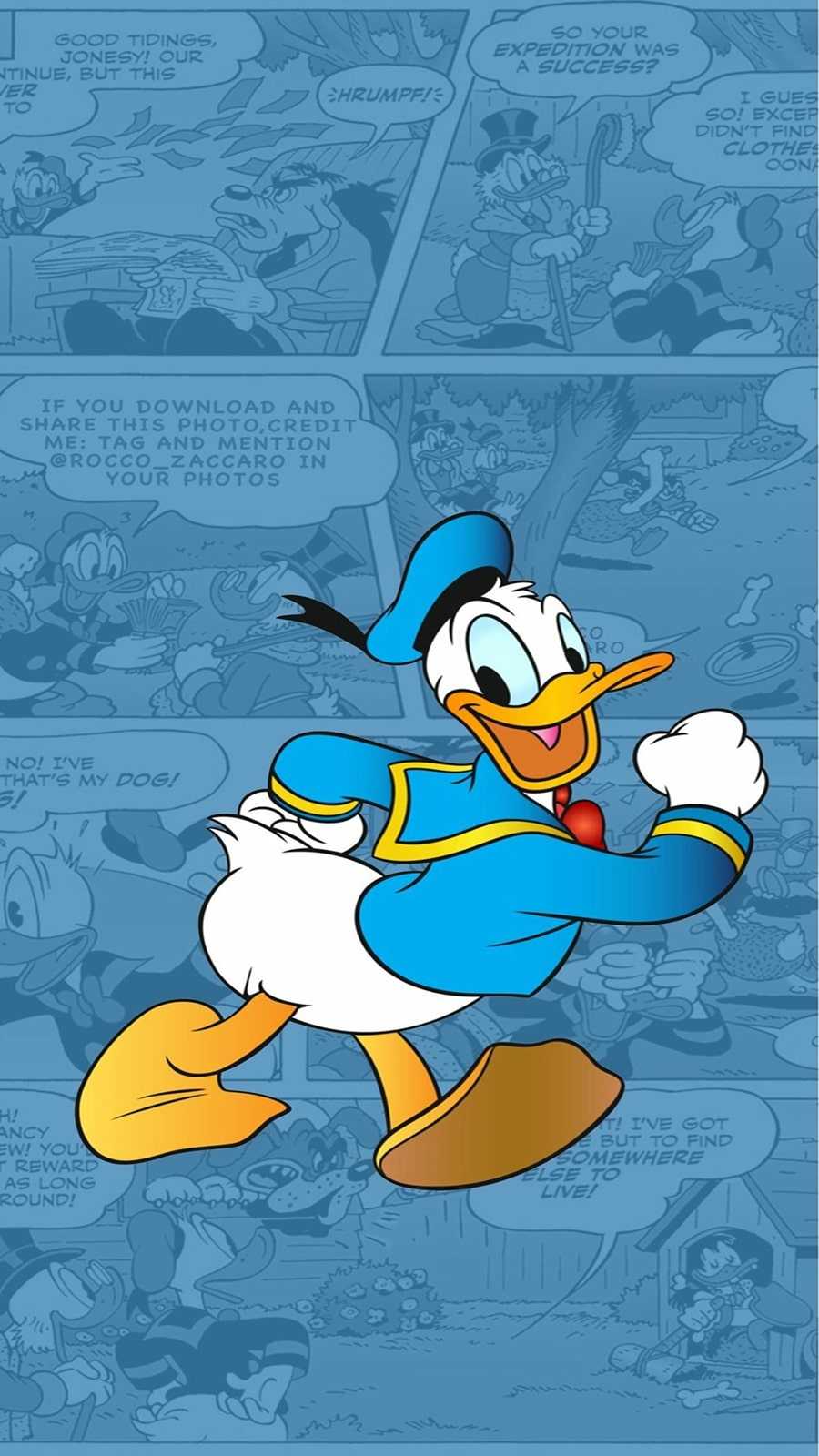 900x1600 Donald Duck Memes Wallpaper