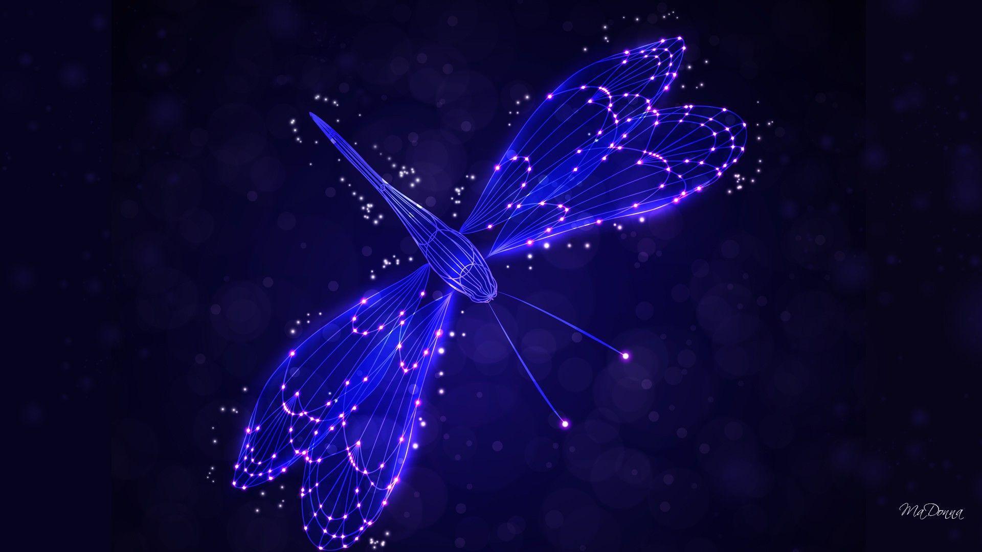 1920x1080 Dragonfly Background Free Download
