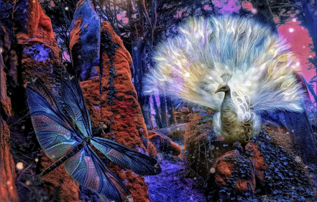 1332x850 Wallpaper forest, collage, dragonfly, art, peacock image for desktop, section рендеринг