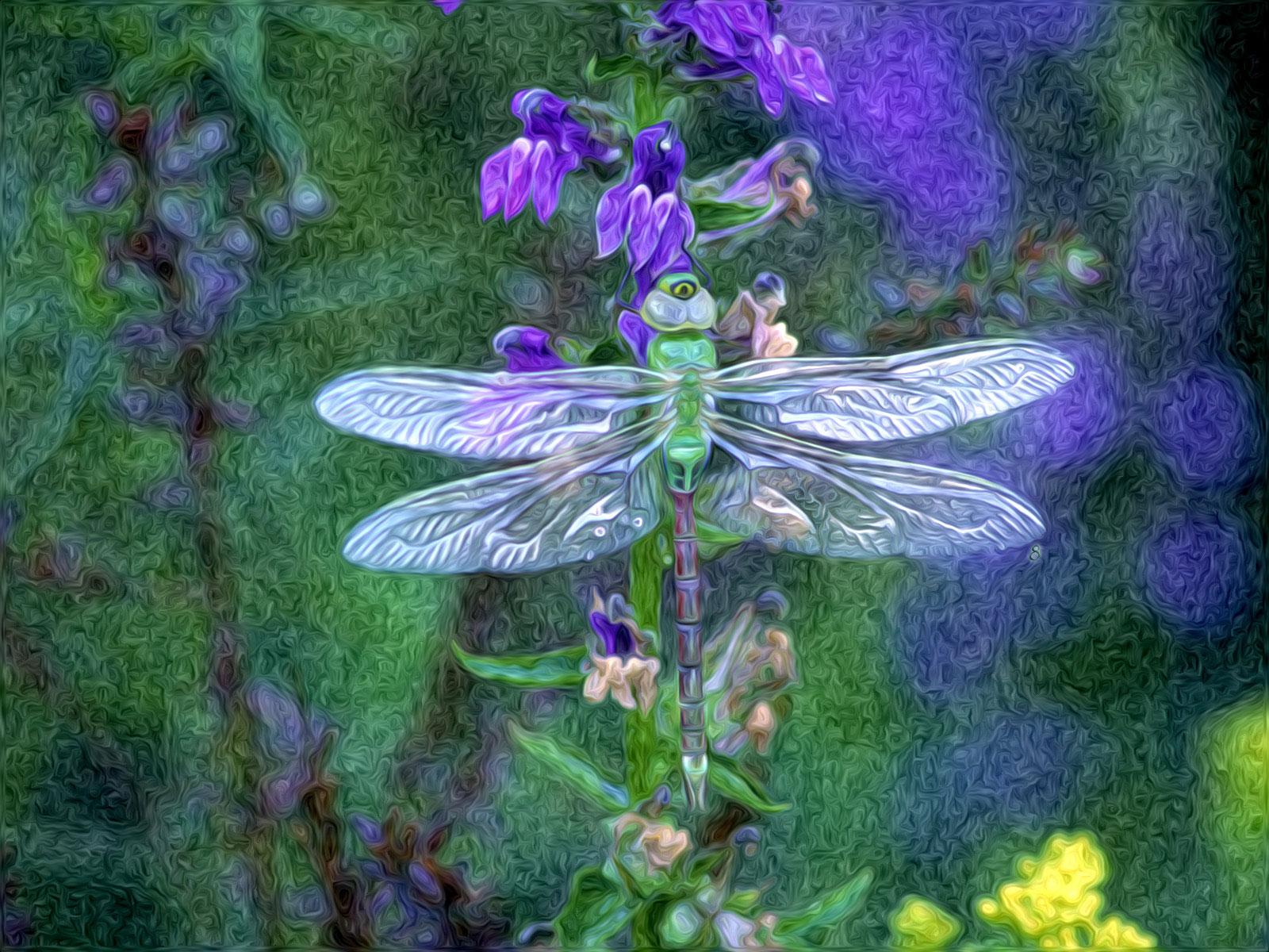 1600x1200 Dragonfly Wallpaper