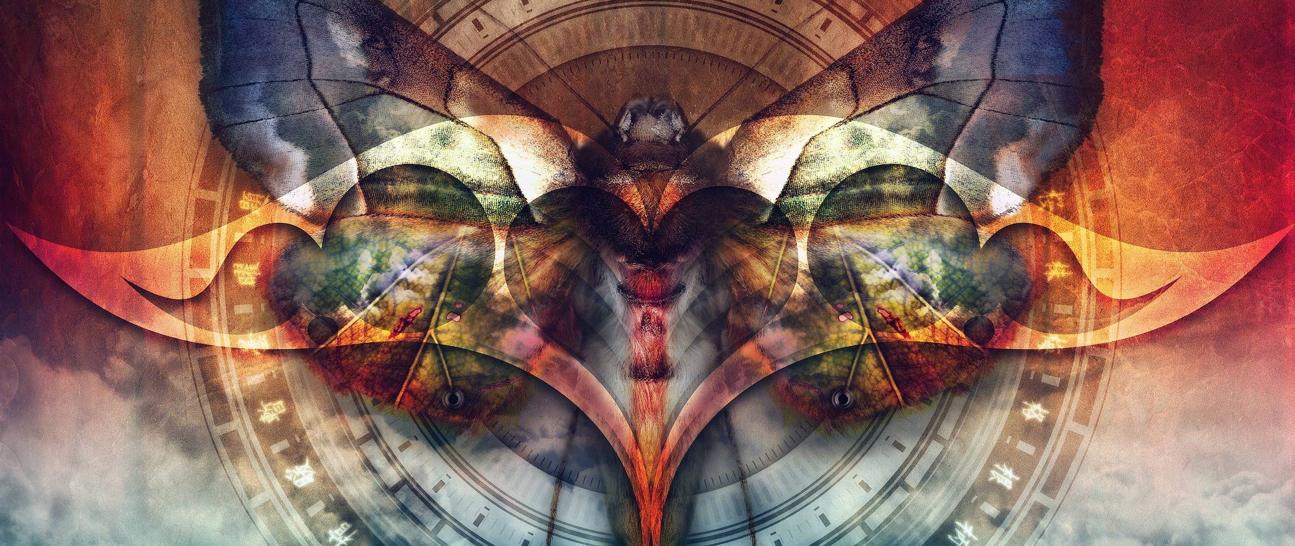 2560x1080 dragonfly, symbol, sign 2560x1080 Resolution Wallpaper, HD Fantasy 4K Wallpaper, Image, Photo and Background