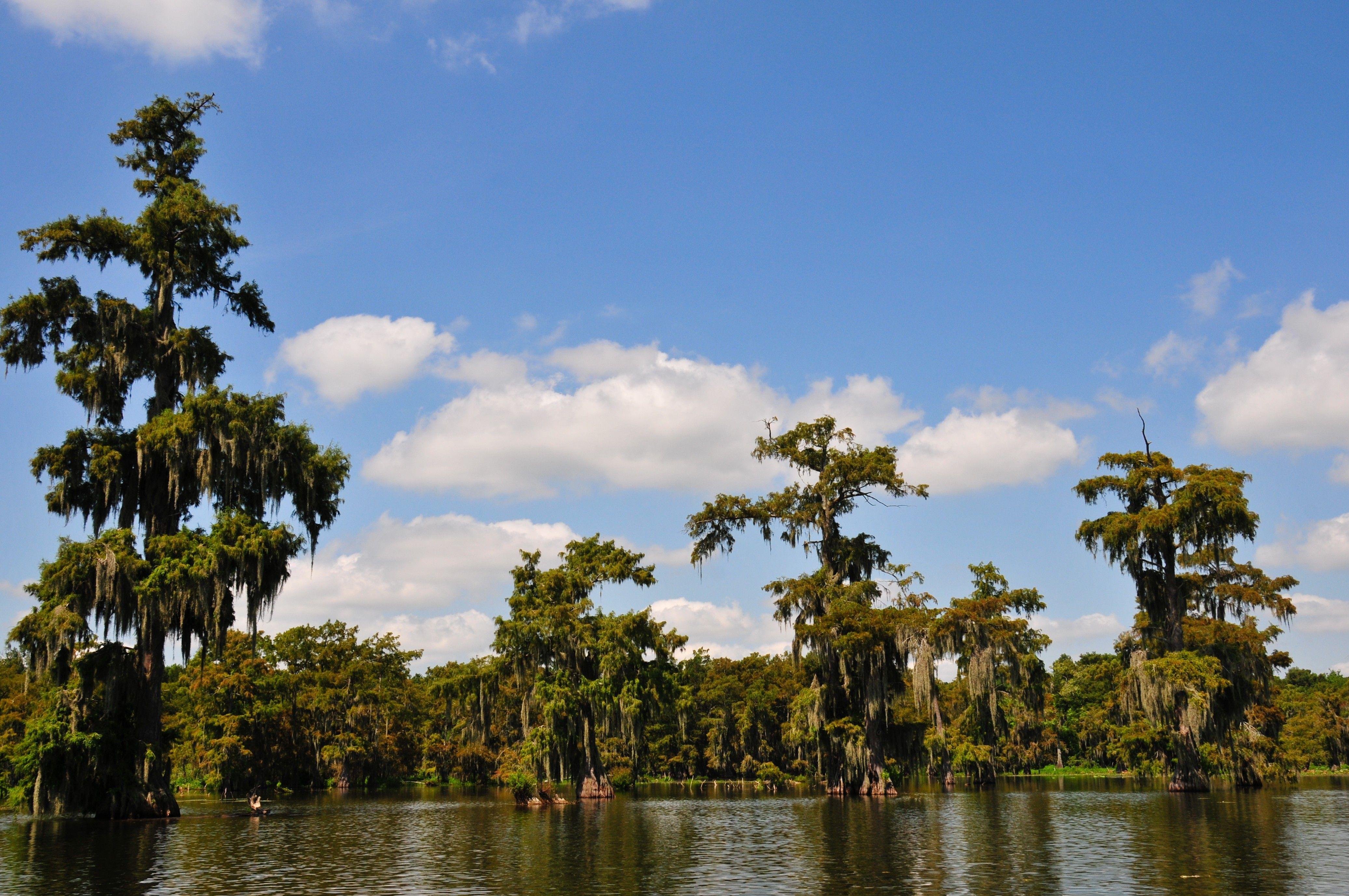 Louisiana Phone Wallpapers - Top Free Louisiana Phone Backgrounds