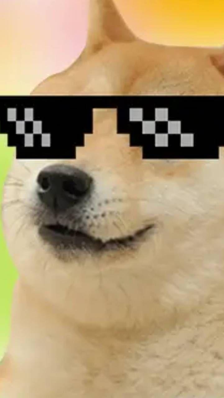 720x1280 Memes 2 wallpaper