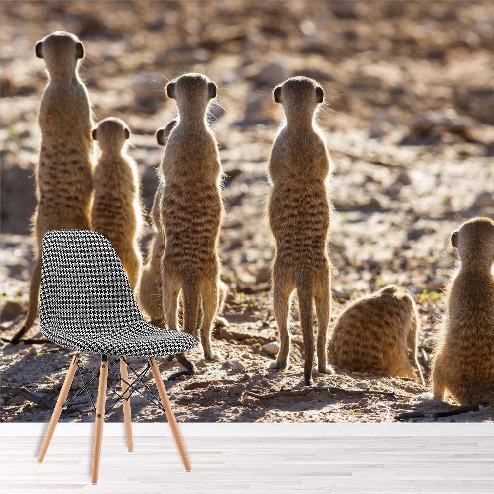 1000x1000 Meerkat Wallpaper Wall Mural