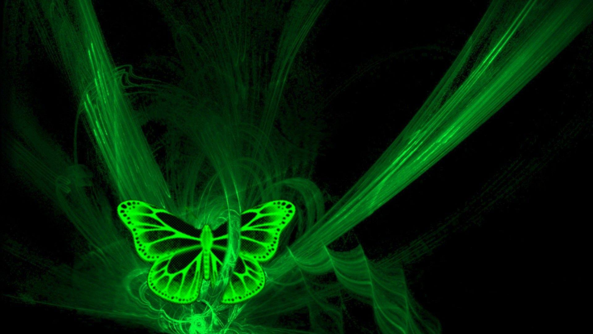 1920x1080 Neon Art Windows 8.1 Themes and Wallpaper. Butterfly wallpaper, Neon wallpaper, Green butterfly