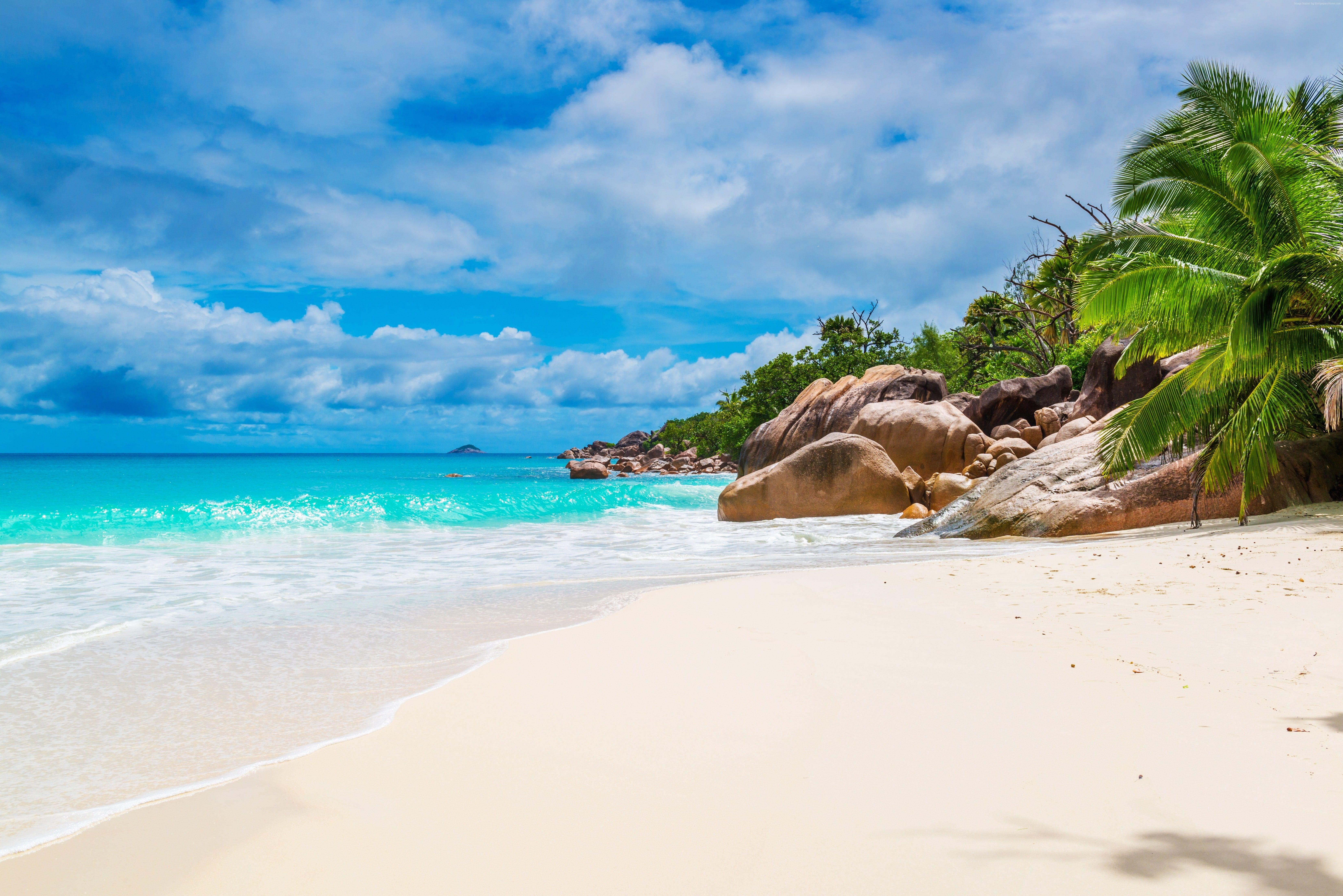 6605x4408 ocean #sky #coast K #palm #beach #Seychelles #Maldives K #wallpaper #hdwallpaper #desktop. Beach wallpaper, Beaches in the world, Beautiful beach picture