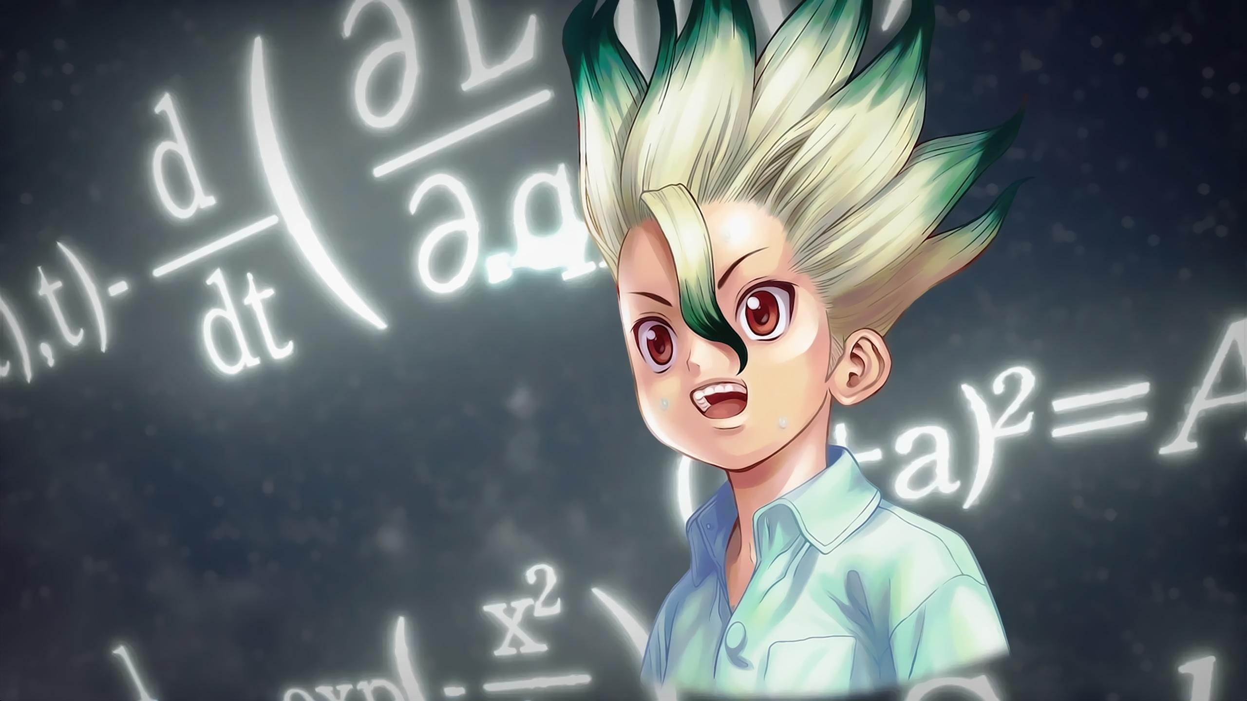 2560x1440 Dr. Stone HD Wallpaper and Background