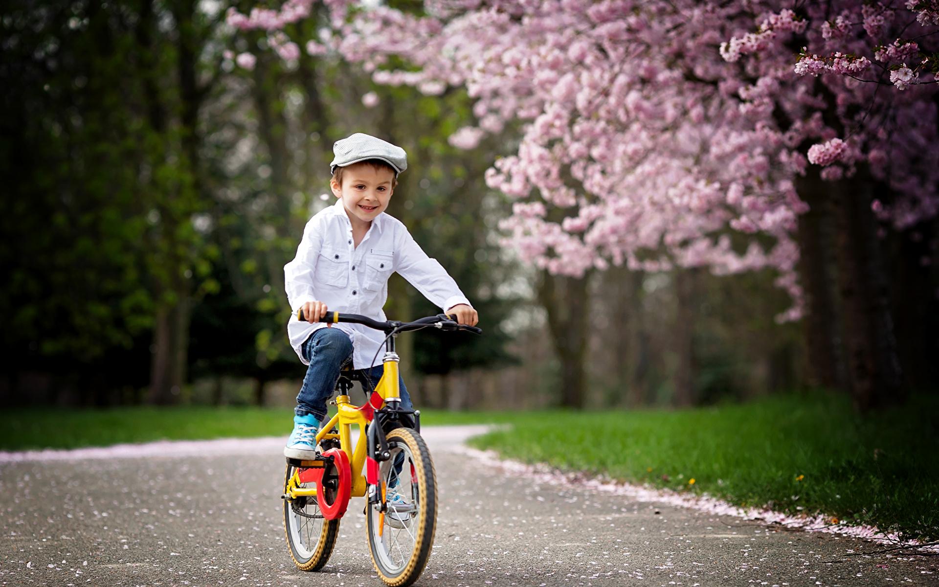 1920x1200 Picture Boys bike child Formal shirt 1920x1200
