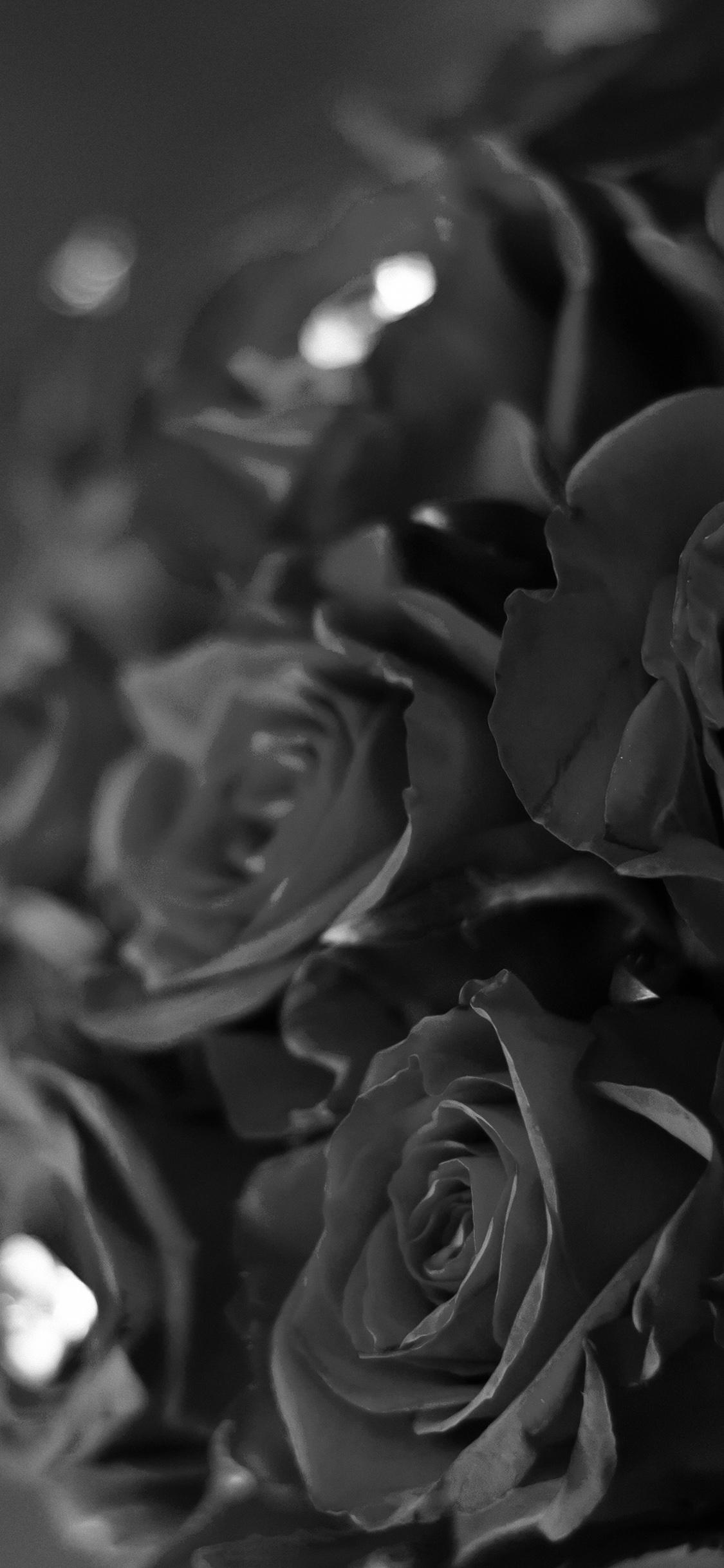 1125x2436 iPhone X wallpaper. flower with diamond dark bw love propose