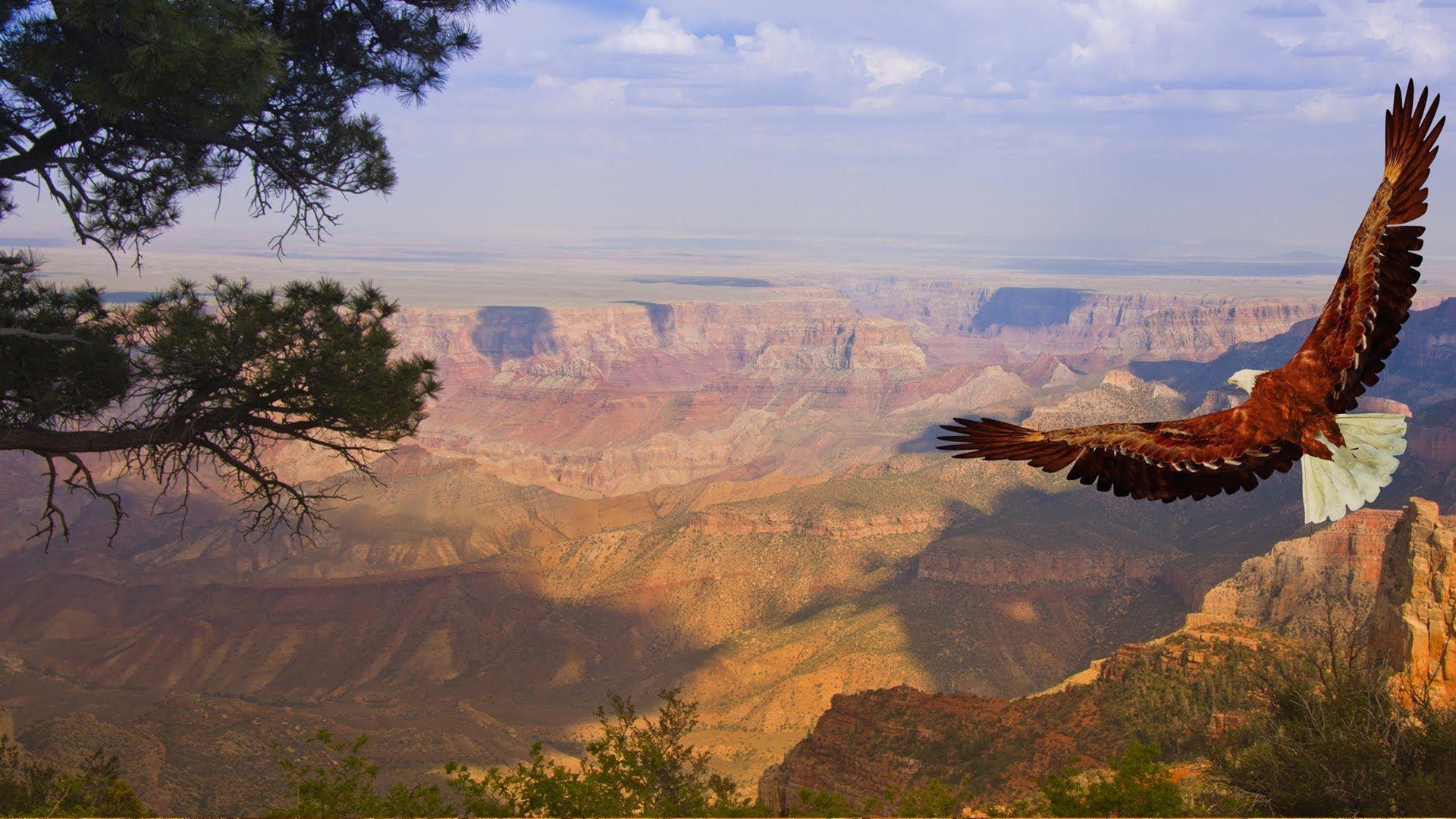 1920x1080 Native American Indian Spirit for Meditation & Relaxation