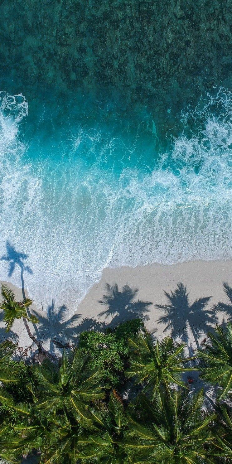 744x1488 patong #phuket #thailand. Landscape wallpaper, Tree wallpaper iphone, Beach wallpaper