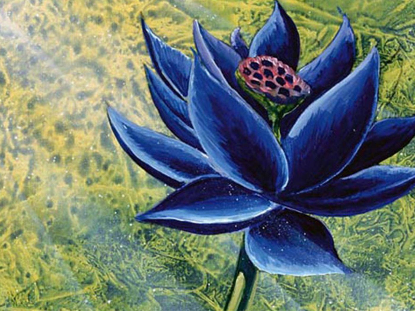 1400x1050 Magic: The Gathering Black Lotus card sells for record $540k at auction
