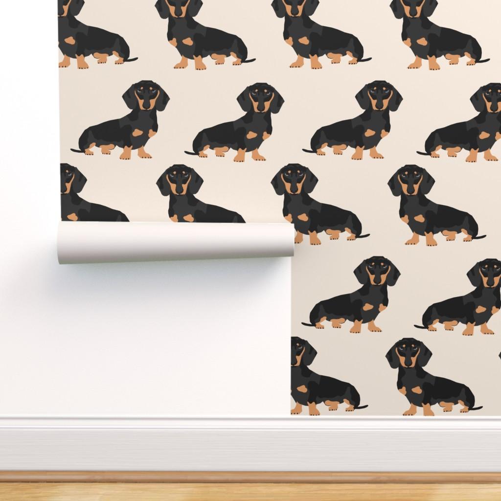 Cute Dachshund Wallpapers - Top Free Cute Dachshund Backgrounds