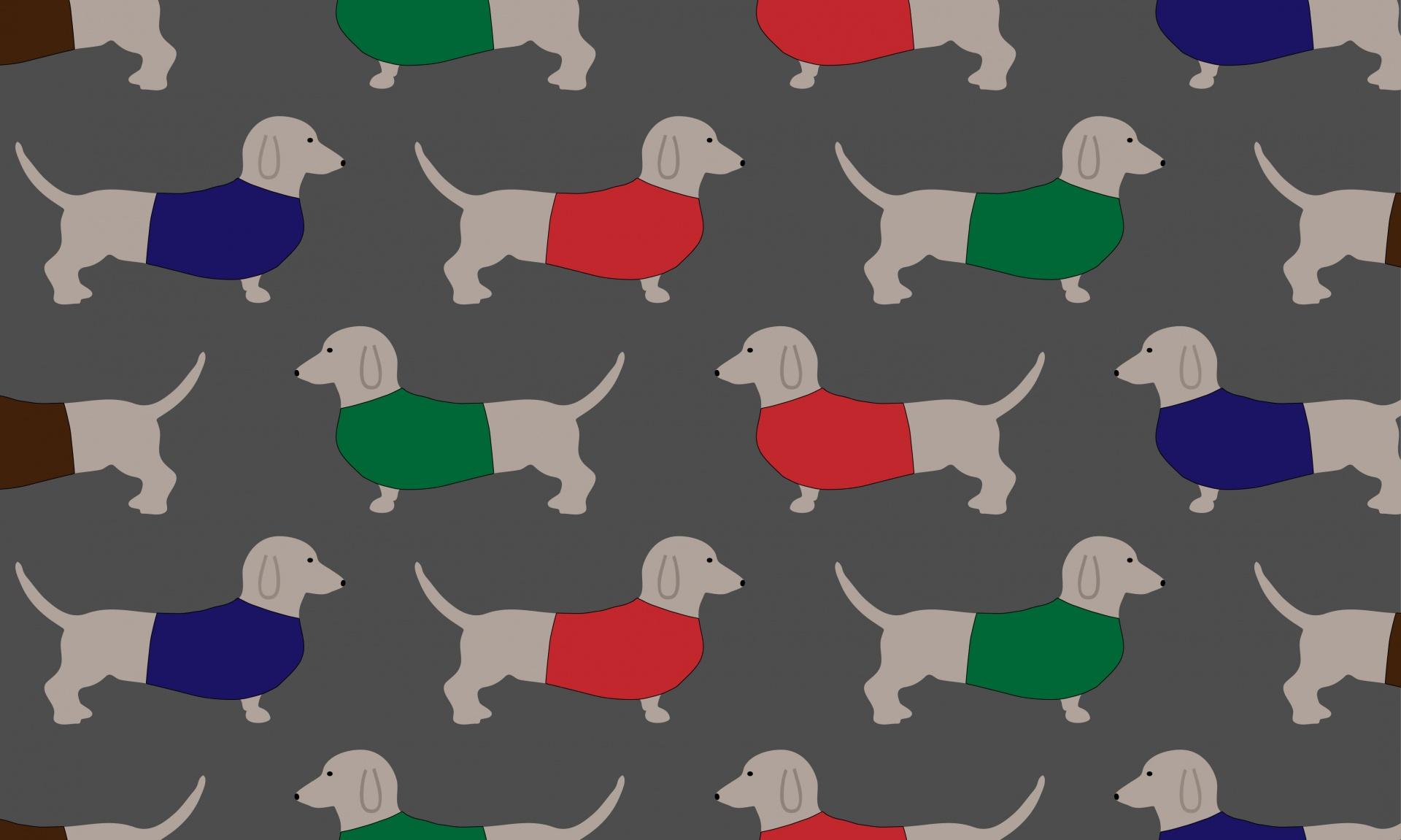 1920x1151 Download free photo of Dog, dogs, dachshund, dachshunds, wallpaper
