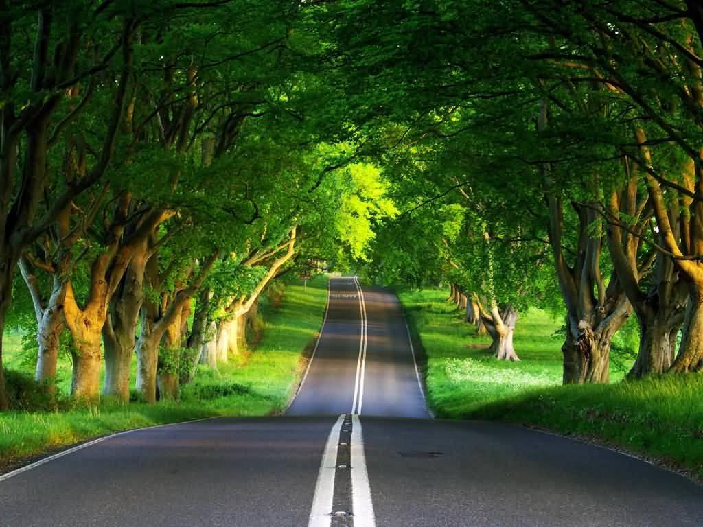 1024x768 Beautiful Desktop Wallpaper Free Download