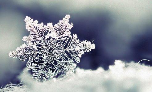 493x300 Nature Snowflakes Desktop Background Wallpaper