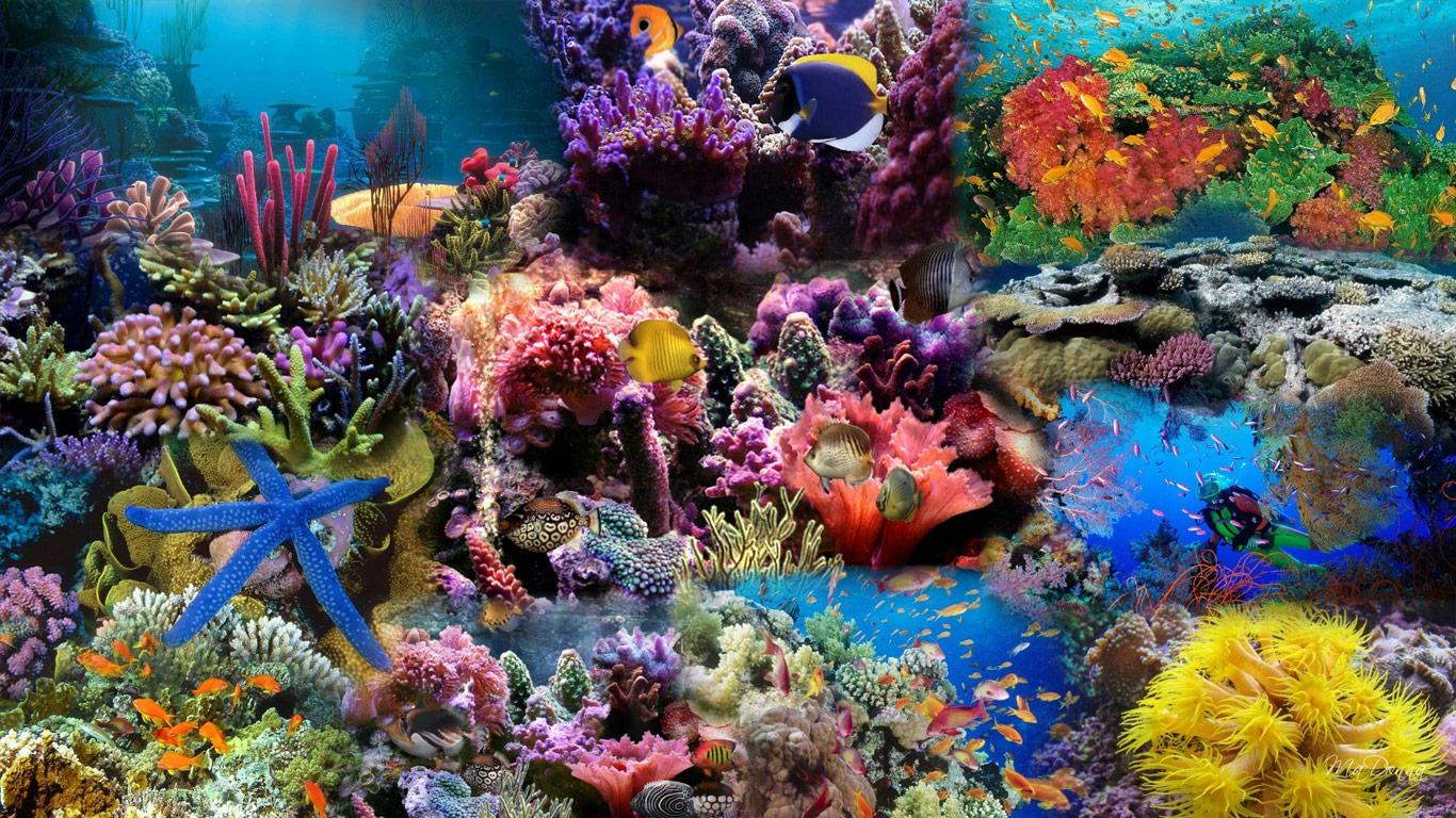 1366x768 Under Sea Wallpaper (1366x768)