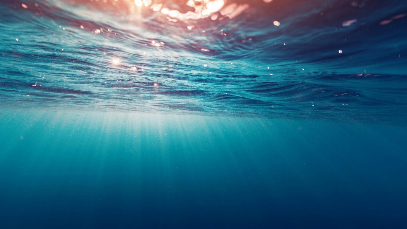 1366x768 Underwater Sea 1366x768 Resolution HD 4k Wallpaper, Image, Background, Photo and Picture