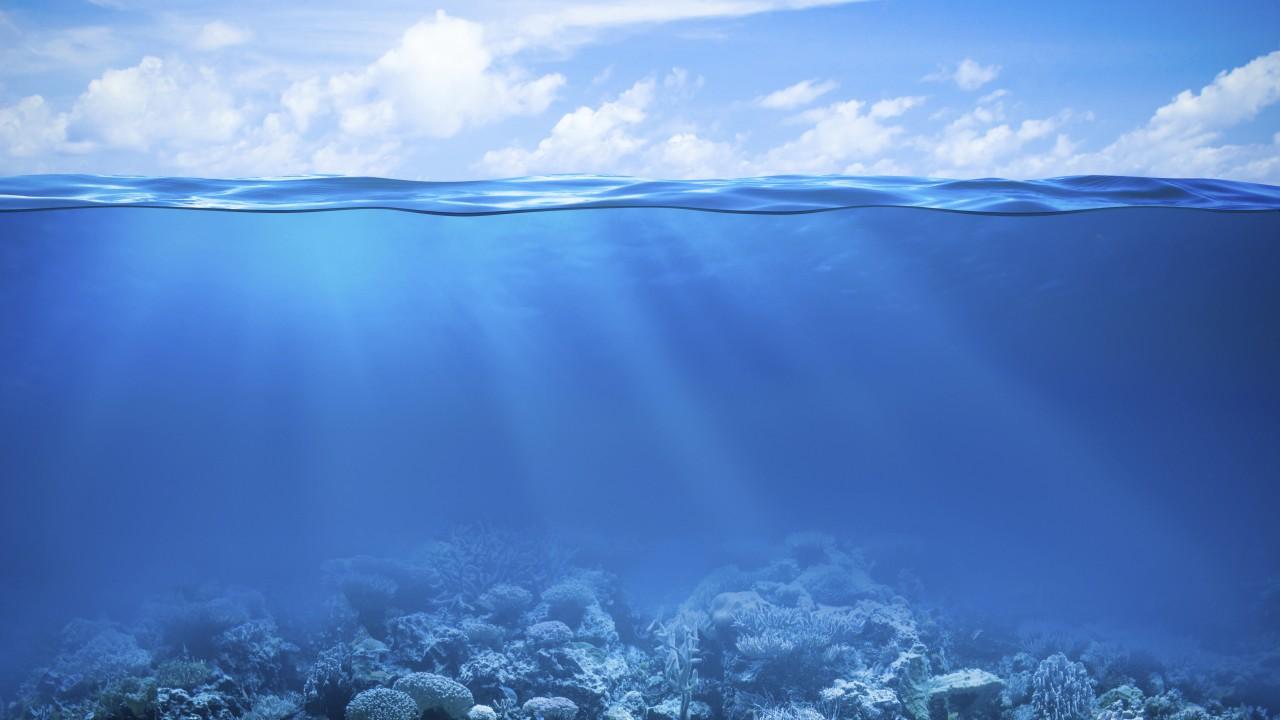 1280x720 Under The Sea Wallpaper