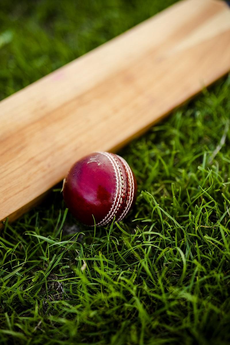 800x1200 Cricket Image. Free Photo, PNG & PSD Mockups, HD Wallpaper & Illustrations