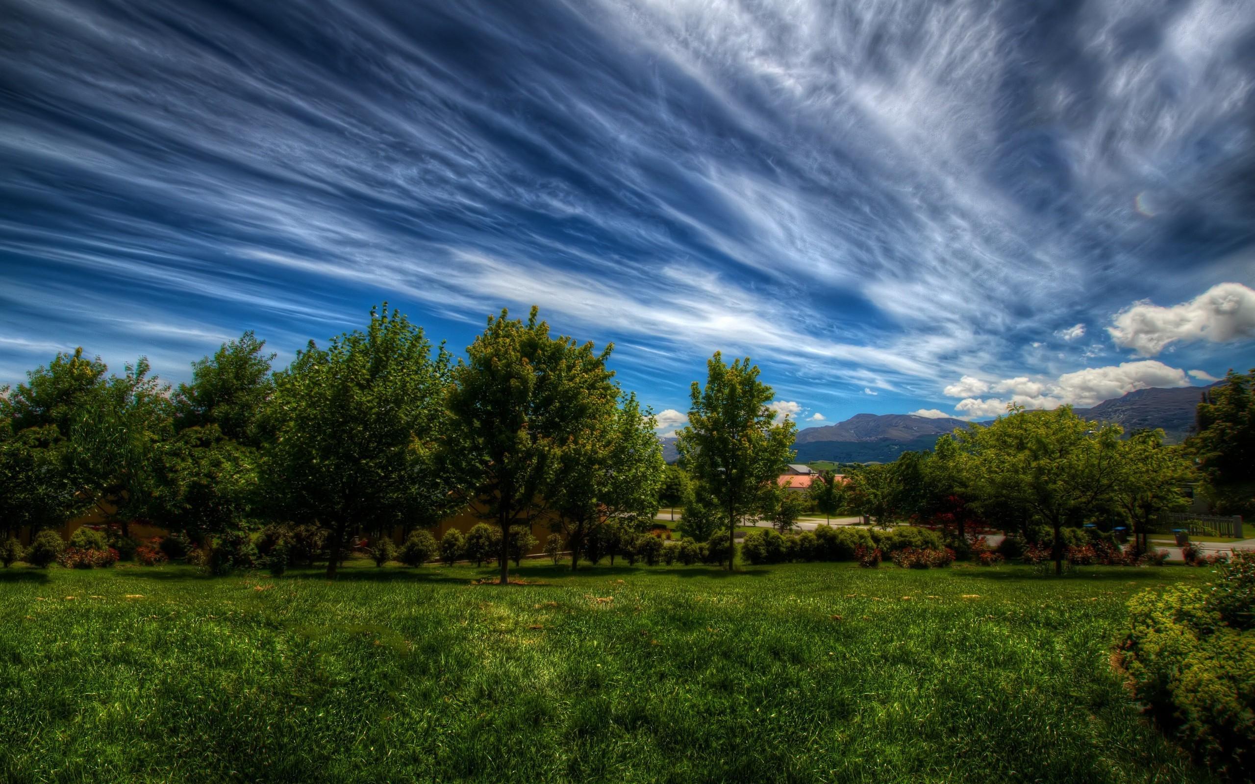 2560x1600 nature, Landscape, Trees, Grass, Clouds Wallpaper HD / Desktop and Mobile Background