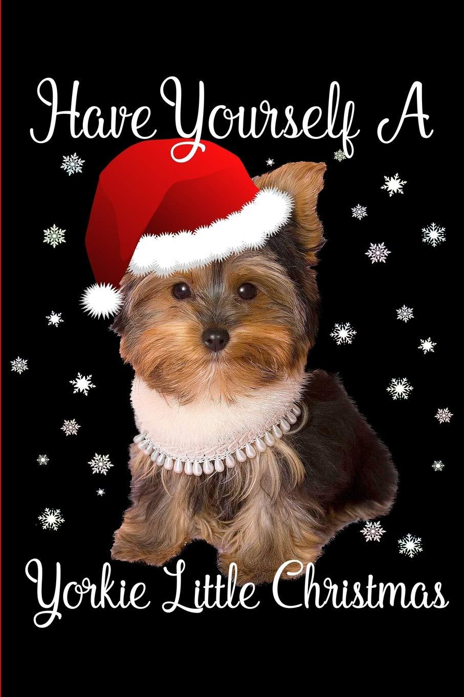 907x1360 little yorkie dog online