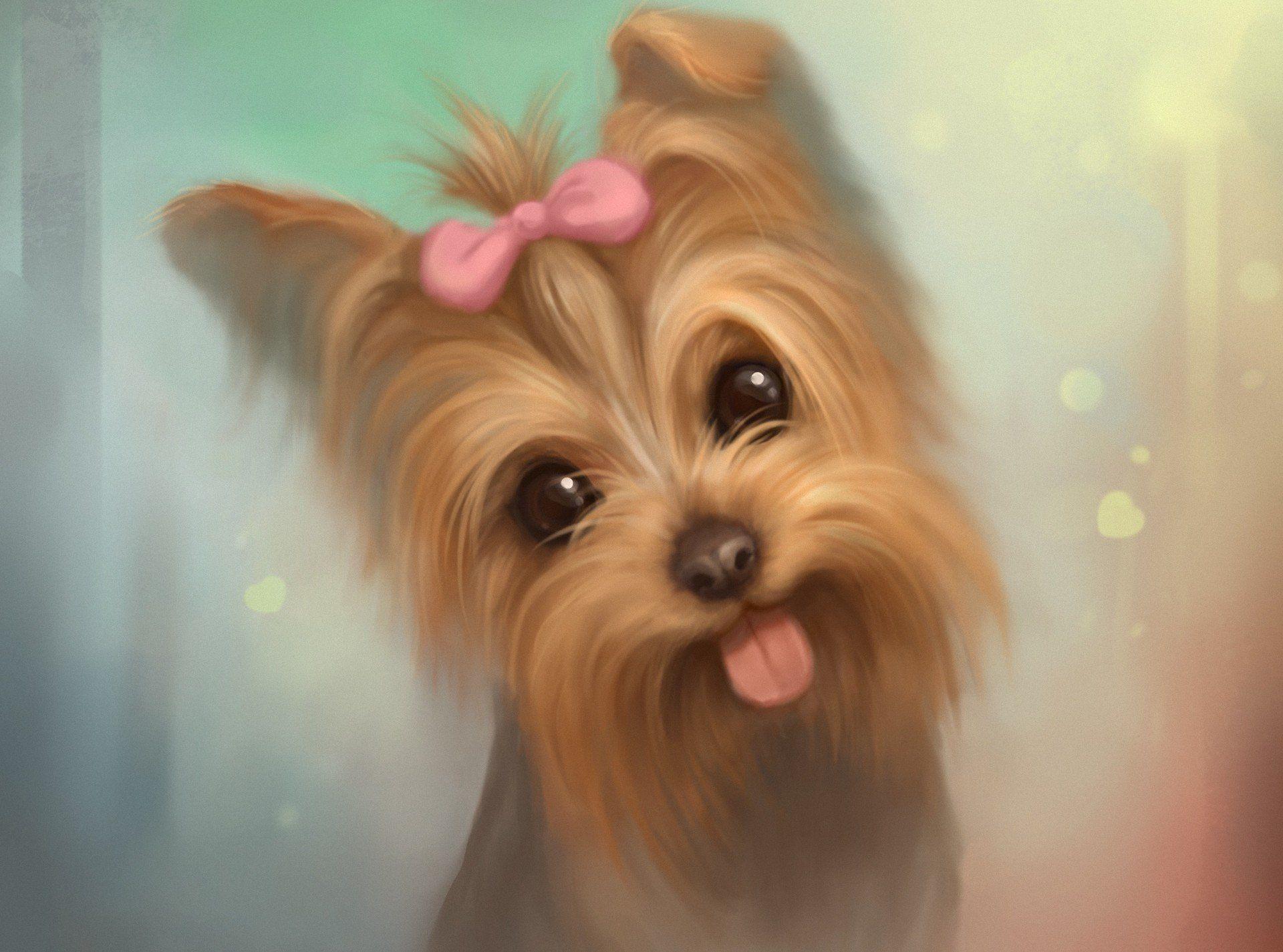 1920x1425 Dogs Photo: Puppy. Cute puppy wallpaper, Yorkie dogs, Yorkie painting