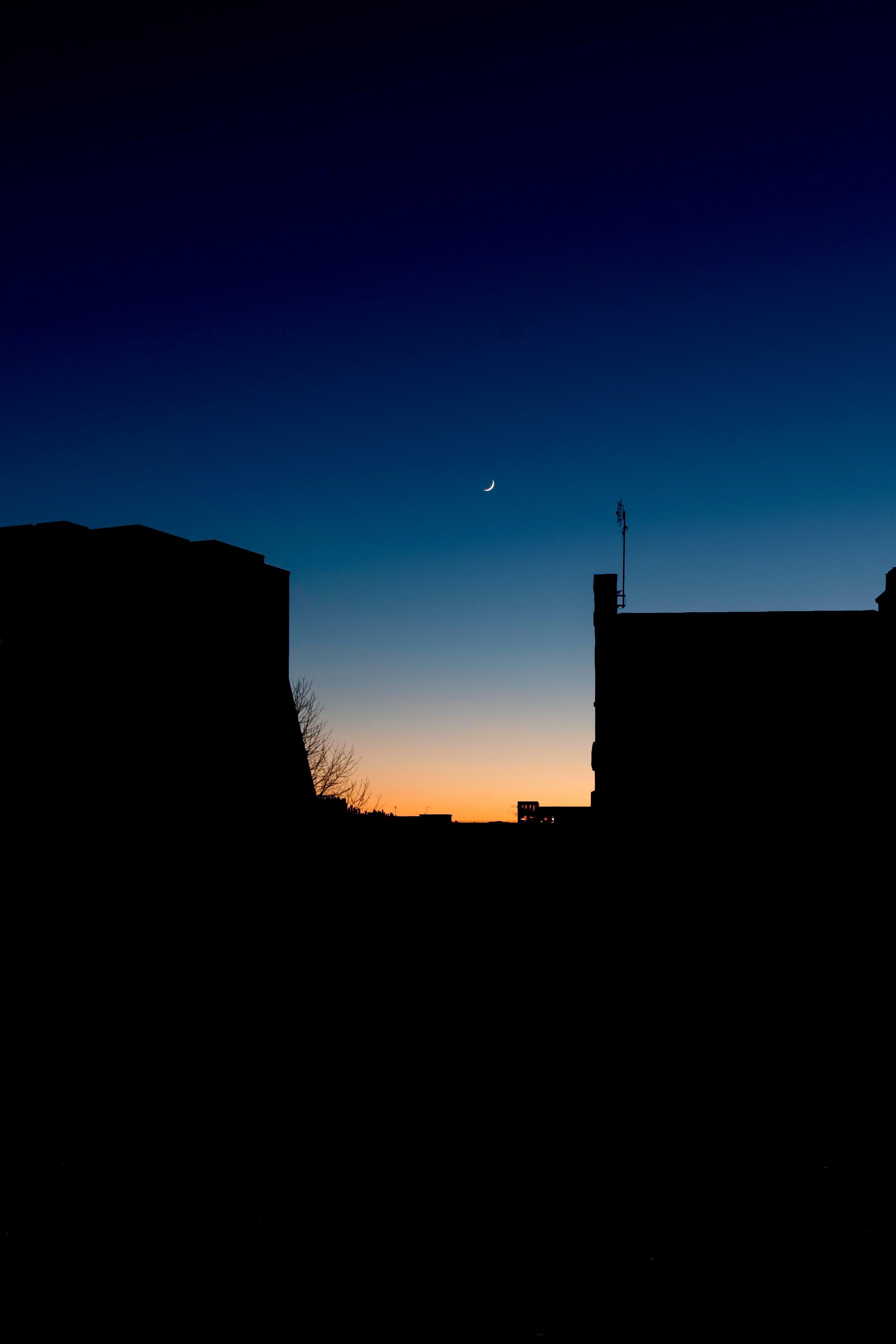 3254x4881 Sunset Silhouette. iPhone X Wallpaper X Wallpaper HD