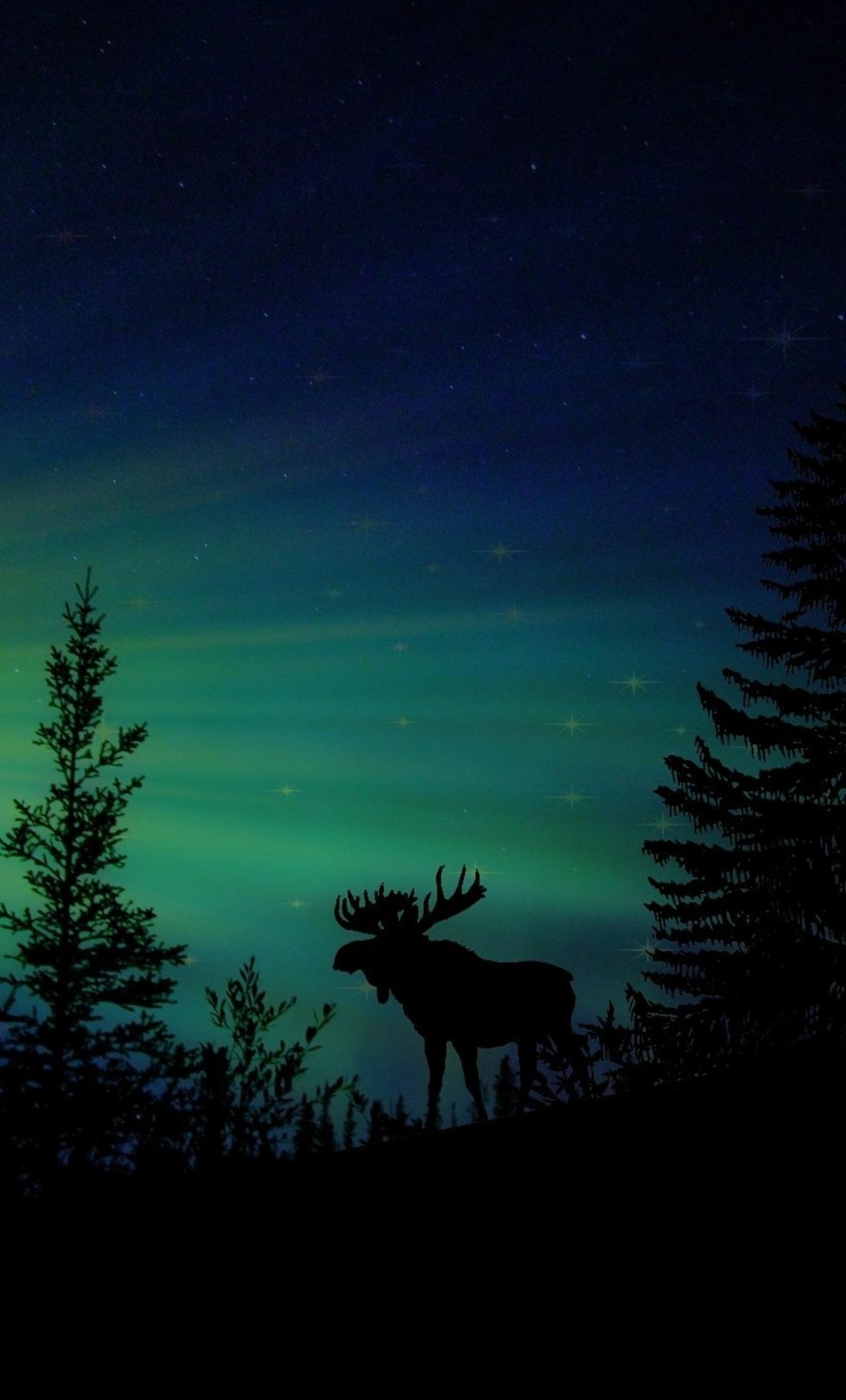 1280x2120 Moose Forest Animal Dawn Silhouette Aurora iPhone HD 4k Wallpaper, Image, Background, Photo and Picture