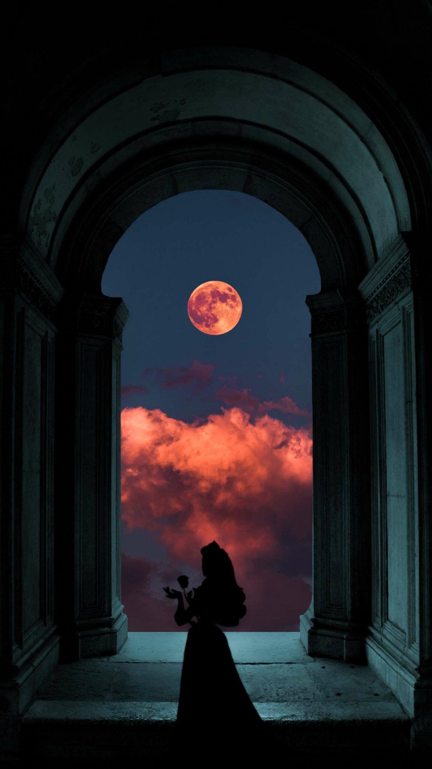 1440x2560 Silhouette Lady IPhone Wallpaper. Dreamy photography, Nature wallpaper, iPhone wallpaper