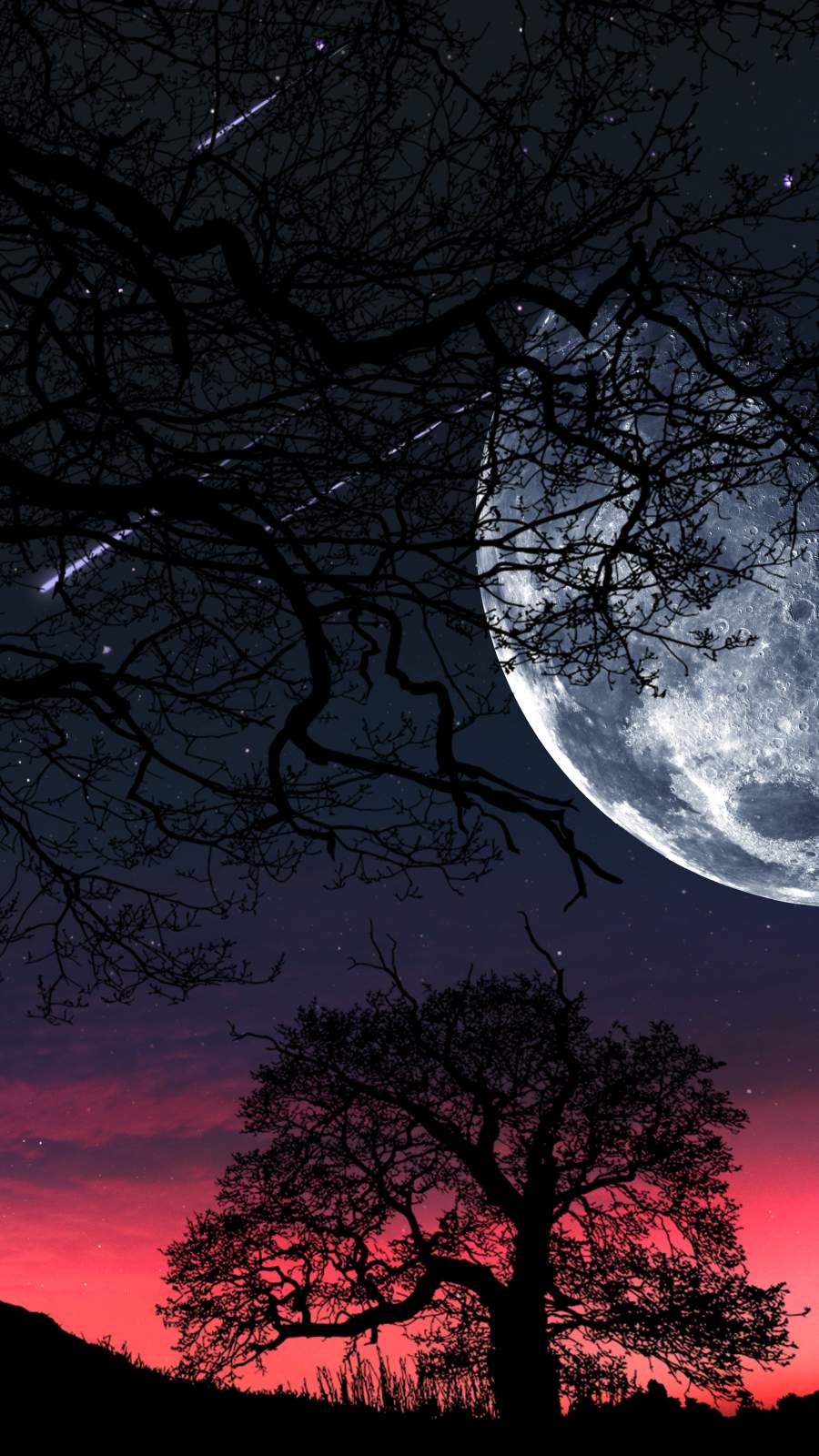 900x1600 Moon Tree Silhouette Wallpaper : iPhone Wallpaper