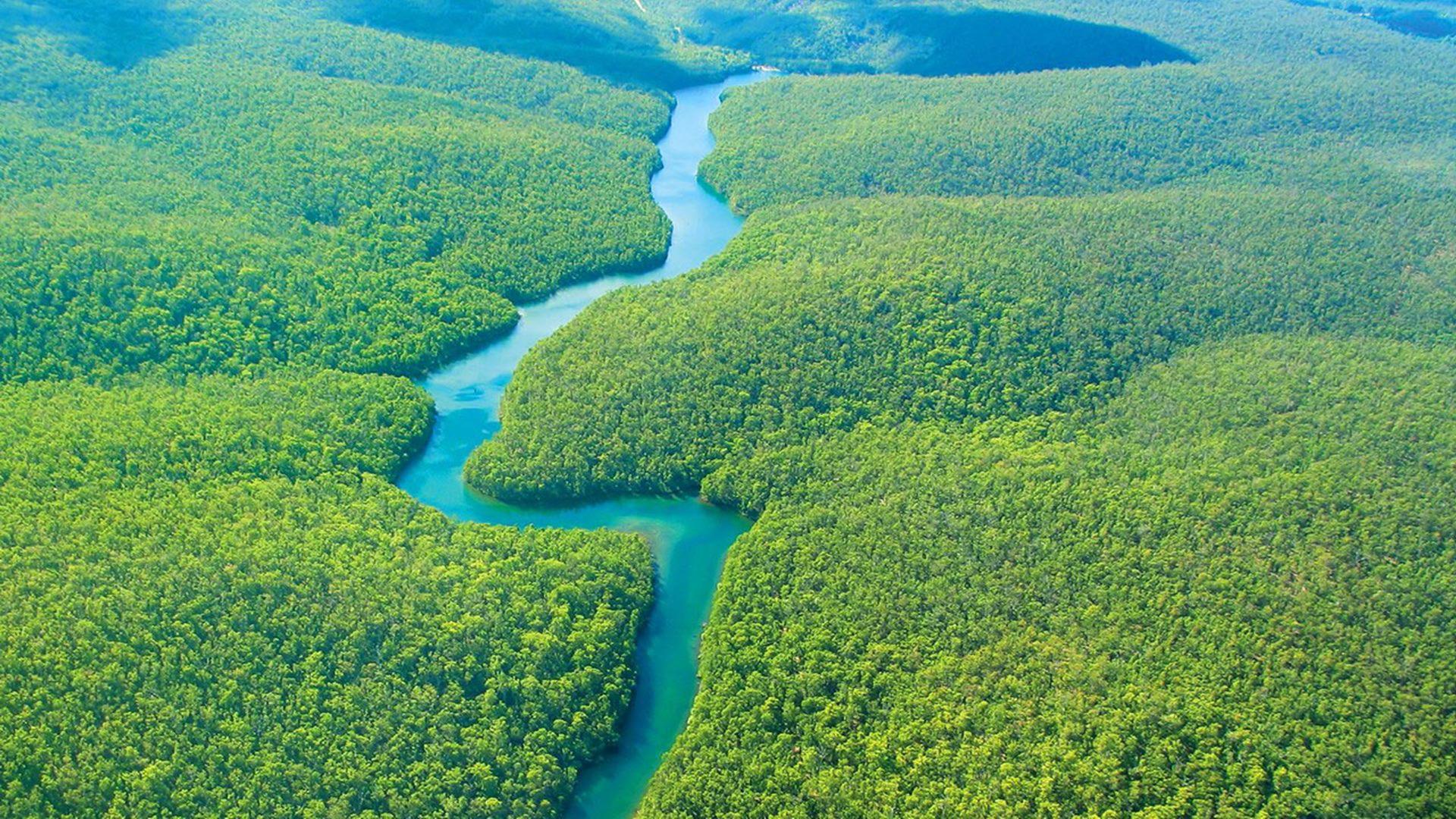 1920x1080 Amazon Rainforest In Brazil HD Wallpaper