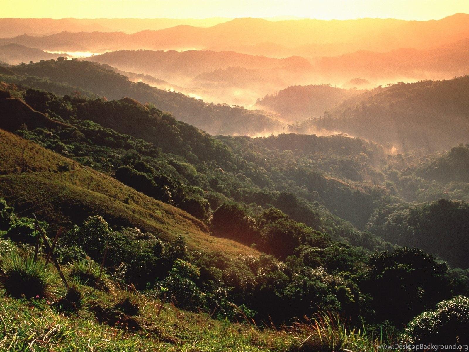 1600x1200 Amazon Rainforest, Brazil & South America For Nokia Wallpaper 8. Desktop Background